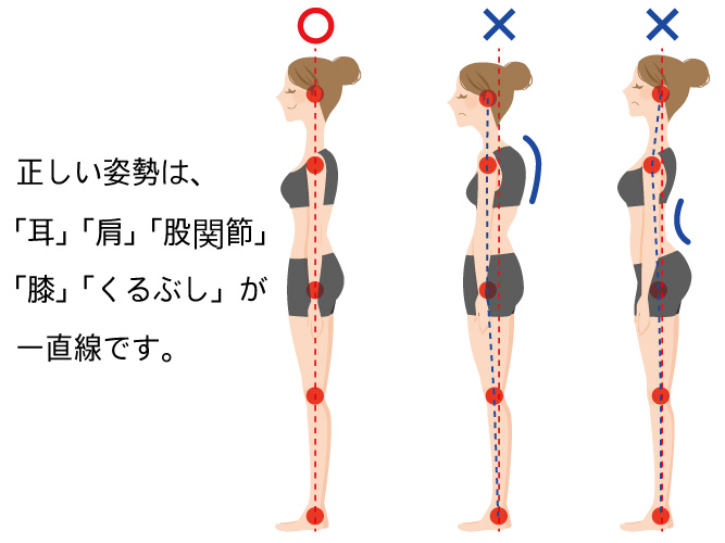 正しい姿勢とは「耳」「肩」「股関節」 「膝」「くるぶし」が 一直線です。 正しい姿勢とは「耳」「肩」「股関節」 「膝」「くるぶし」が 一直線です。